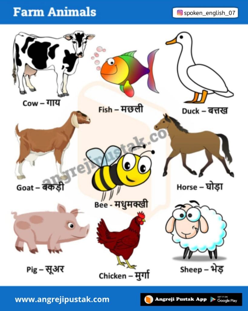 Domestic Animals and Farm Animal Name list in English and Hindi