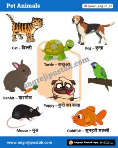 A to Z List of Animals name in English and Hindi | Types of Animals