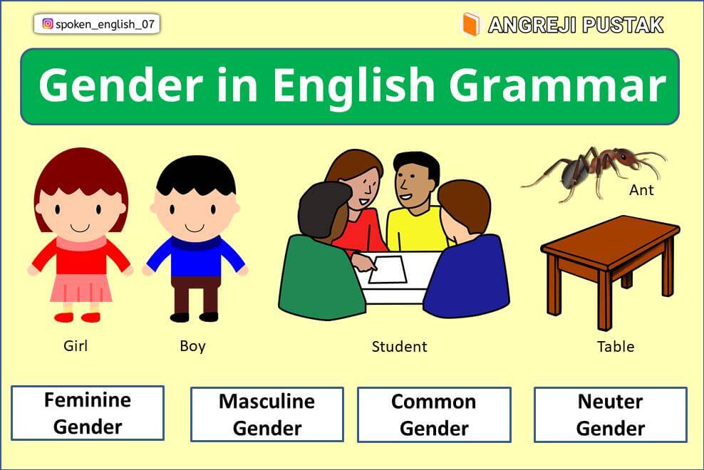 Gender In English Grammar In Hindi Definition Types Rules